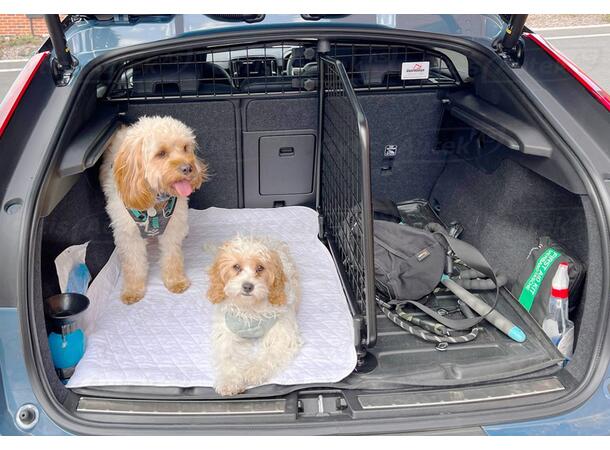Hunde/Lastegitter med skillevegg | Volvo C40 Recharge |gytisautek.no