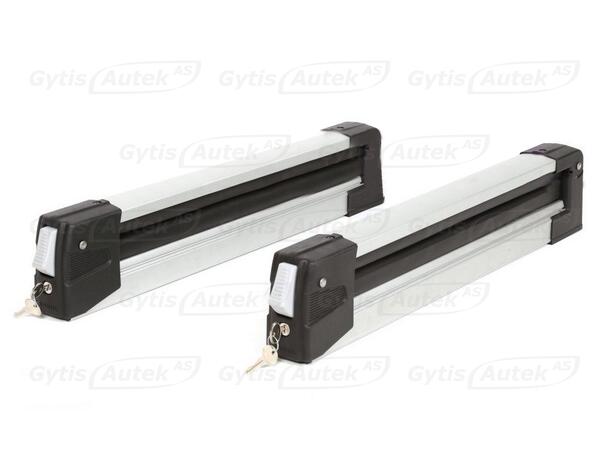 Skiholder | Tesla Model 3 2018-2023 | gytisautek.no