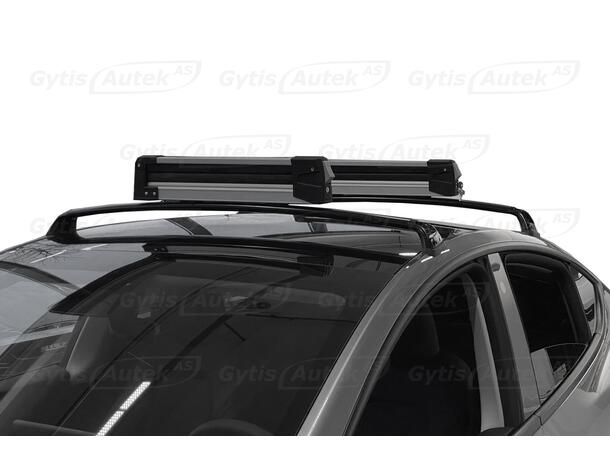 Skiholder | Tesla Model 3 2018-2023 | gytisautek.no
