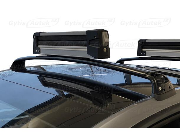 Skiholder | Tesla Model 3 2018-2023 | gytisautek.no