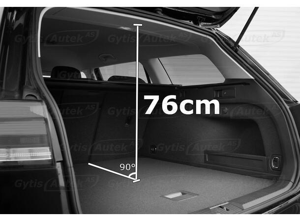 Hunde/Lastegitter med skillevegg | MG ZS EV 2020-> | gytisautek.no