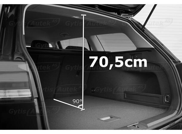Hund-/Lastgaller med avdelare | Nissan Qashqai 2021-> | gytek.se