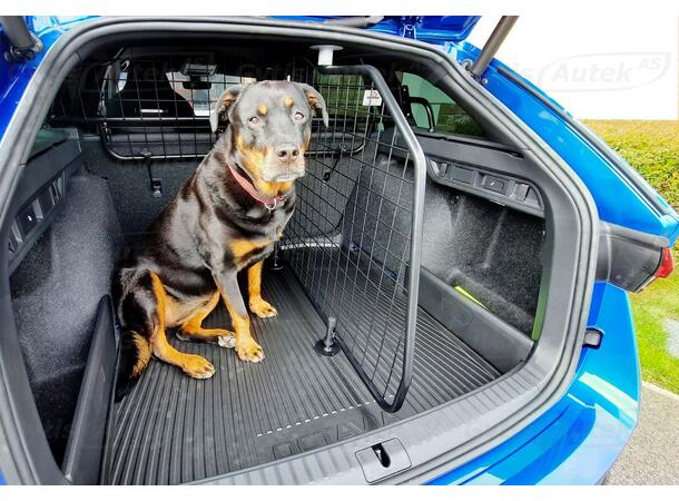 Hund-/Lastgaller med avdelare | Skoda Octavia 2020-> | gytek.se