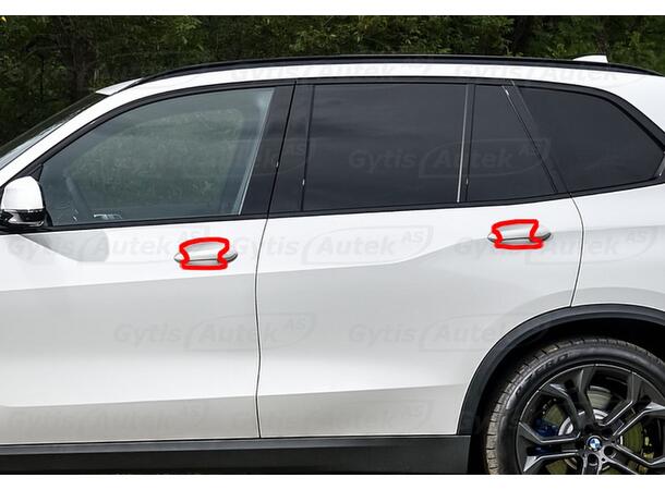 Dörrhandtagsskydd - Folie | BMW X5 G05 2019-> | gytek.se