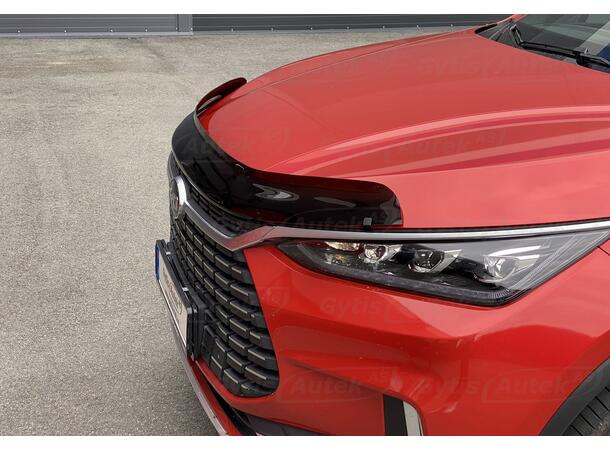 Huvskydd | BYD Tang 2021-2024 | gytek.se