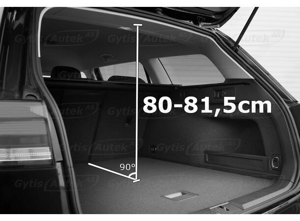 Hunde/Lastegitter med skillevegg | Skoda Enyaq 2021-> | gytisautek.no