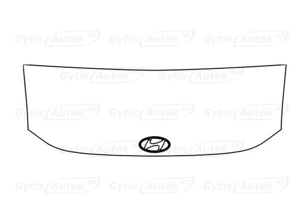 Panserbeskytter | PPF-folie | Hyundai IONIQ 9 2025-> | gytisautek.no