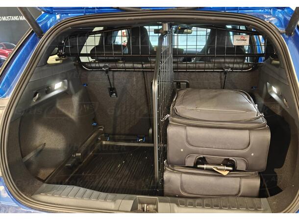 Hunde/Lastegitter | Ford Explorer EV 2024-> | gytisautek.no