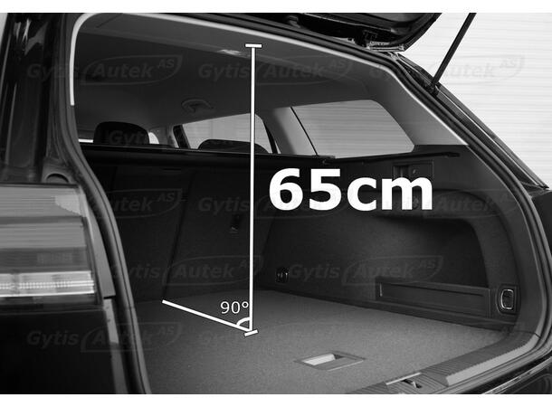 Hunde/Lastegitter | Ford Capri 2024-> | gytisautek.no