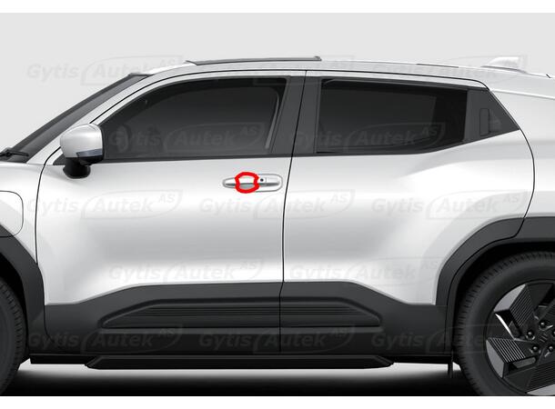 Dörrhandtagsskydd | PPF | Suzuki eVitara 2025-> | gytek.se