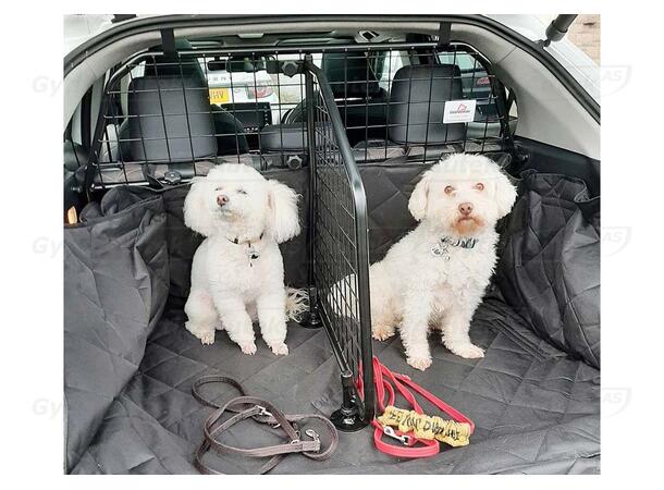 Hund-/Lastgaller med avdelare Toyota Yaris Cross 2022-> 