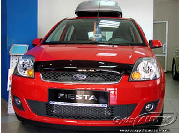 Huvskydd | Ford Fiesta 2005-2008 | gytek.se