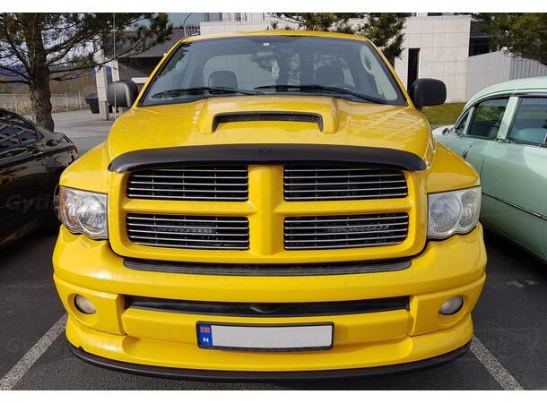 Huvskydd till Dodge RAM 2002-2005 | gytek.se