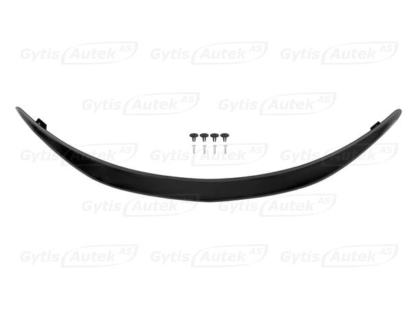 Huvskydd | Mitsubishi Outlander 2007-2010 | gytek.se