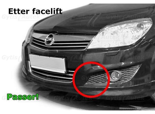 Vinterdeksel til Opel Astra H 2007-2009 | gytisautek.no