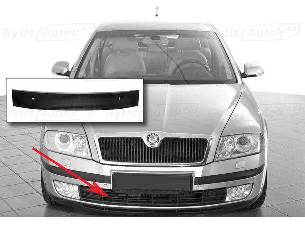 Vinterskydd till Skoda Octavia 2004-2009 | gytek.se