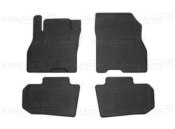 Gummimatter til Nissan Leaf 2018->| gytisautek.no